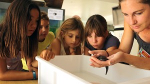 Un groupe d'enfant observent un axalotl tenu dans les mains d'une animatrice