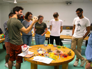 Un animateur présente à un groupe d'adultes différentes graines posées sur une table et une maracas fabriquée avec des graines et du carton