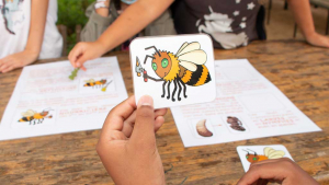 Une image d'abeille est tenue par une main d'enfant qui va devoir classer en fonction de ses missions dans la ruche