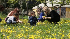 Des enfants et leurs parents accompagnés d'un animateur récoltent des fleurs dans le verger de l'Écolothèque