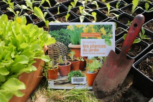 Livre "Je multiplie les plantes du jardin" avec des semis et un transplantoir