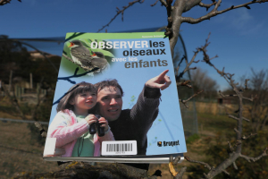 Livre "Observer les oiseaux avec les enfants" posé sur les branches d'un arbre