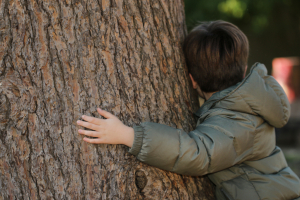 Un enfant, enlasse le tronc d'un arbre