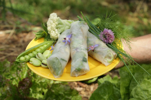 une main tient une assiette jaune dans laquelle 3 rouleaux de printemps sont disposés avec un bouquet d'herbes fraîches, du chou-fleur, des fèves et des petits pois, disposés autour