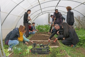 Dans une serre pédagogique de l'Écolothèque, des agents communaux préparent le sol à l'aide d'outils de jardinage.