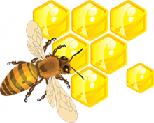 illustration d'une abeille sur des alvéoles