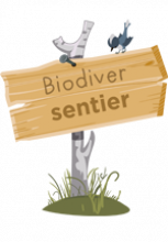 illustration d'un panneau un bois, cloué sur une branche plantée dans le sol, sur lequel est marqué « Biodiver sentier »
