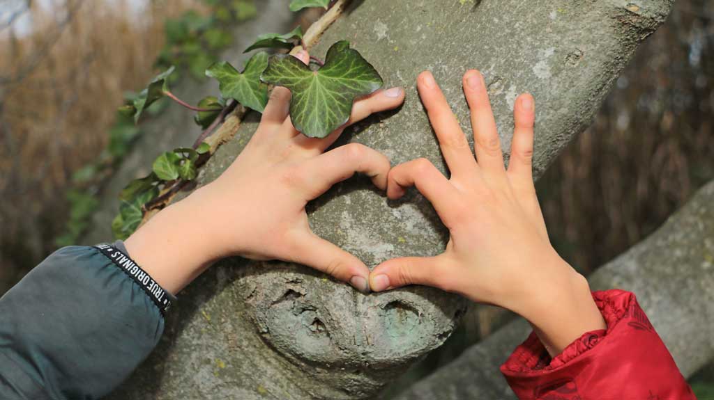 Deux mains d'enfants forment un coeur sur un tronc d'arbre