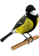 Oiseaux Sauvages Boulanger - Photo gratuite sur Pixabay - Pixabay